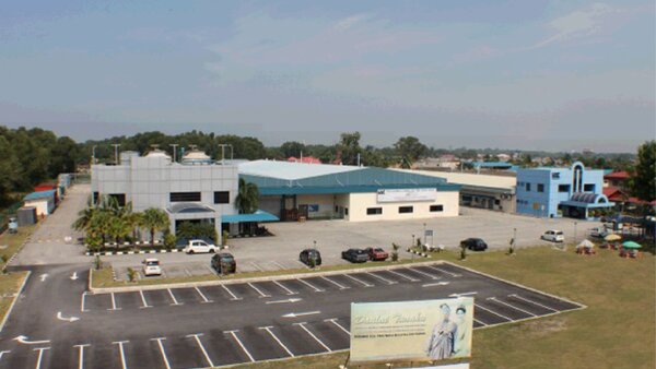 Plant in Pekan