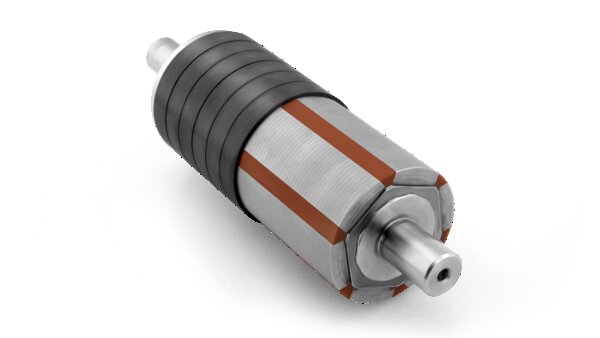 Rotor with Permanent Magnets 