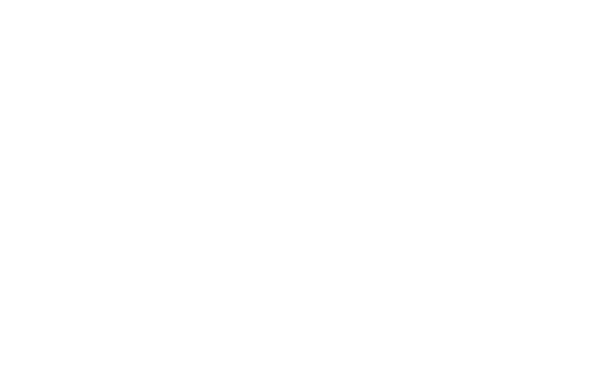 Vacuumschmelze Logo